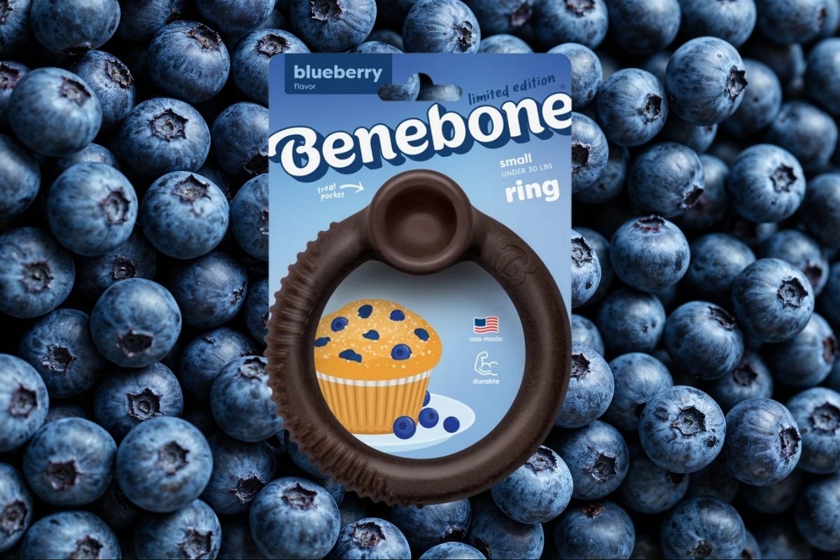 Benebone Ring nylon chew toy for dogs in blueberry flavour