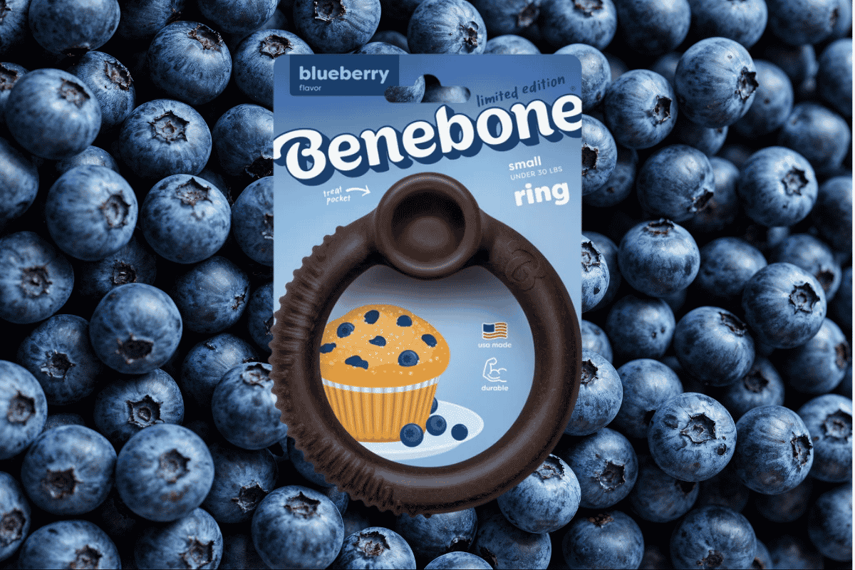 Benebone blueberry ring dog toy