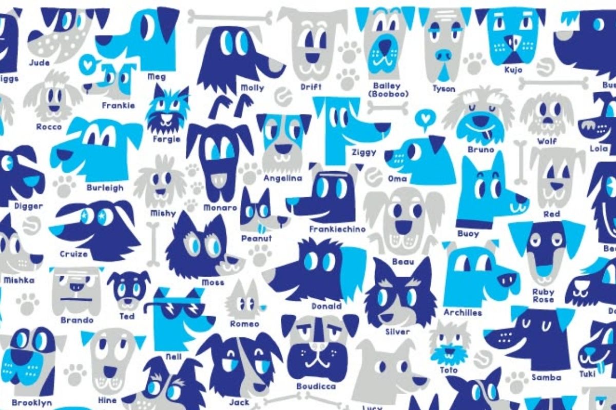 Collection of cartoon dog illustrations by Beck Wheeler for the Dogs of New Zealand tea towel project.