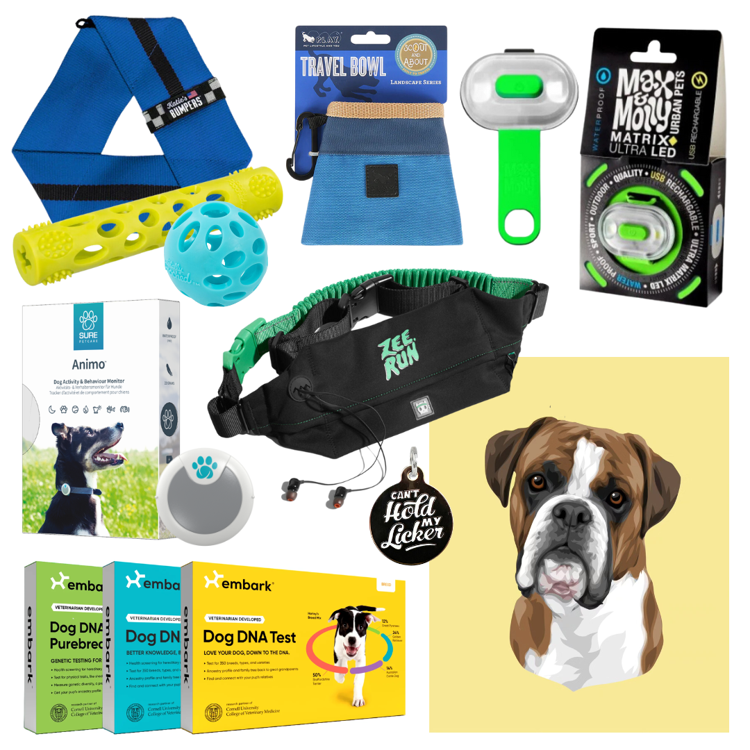 the ultimate gift guide for dog dads
