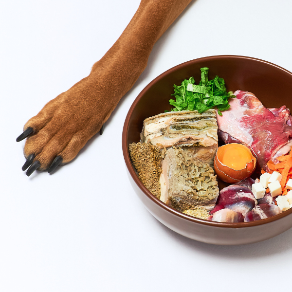 A comprehensive raw dog food guide