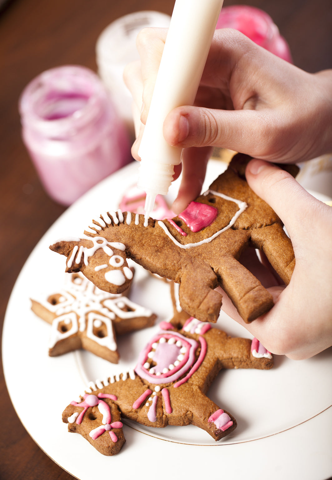 Gingerbread Horse Biscuits for RDA