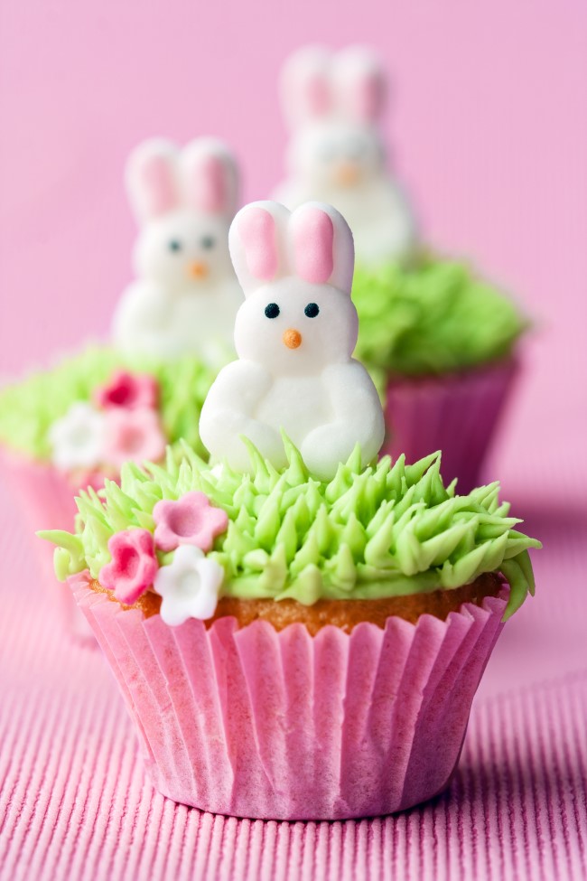 SPCA Cupcake Day