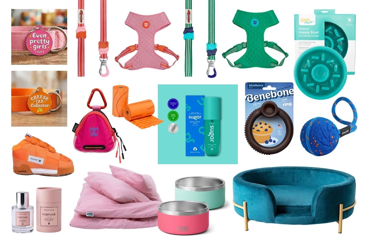 Spring dog gear collage featuring pink bedding, a teal velvet bed, colourful leads and harnesses, enamel ID tags, feeding bowls, grooming products and toys.