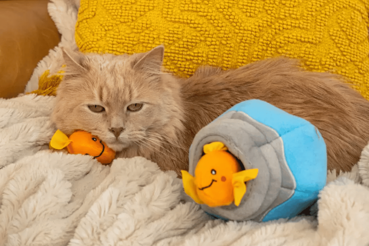 fluffy ginger cat resting with Zippyclaws fishbowl burrow cat toy