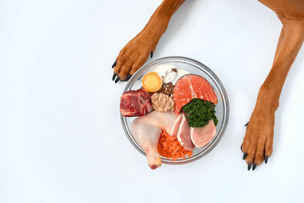 Balanced meal for dogs made with wholesome raw ingredients and superfoods
