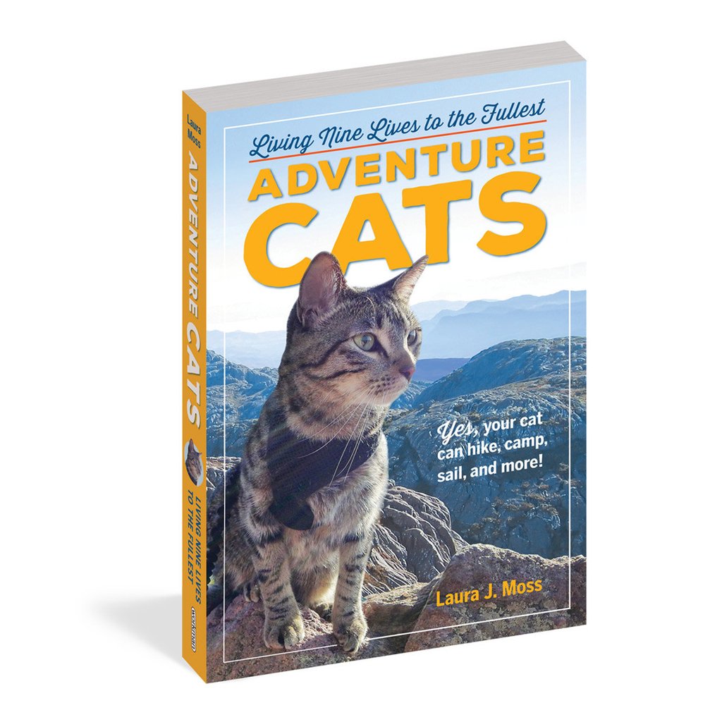 adventure cats book cover