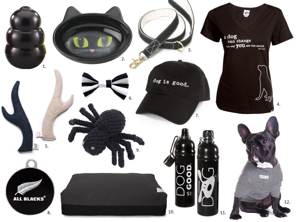 All Blacks the Pet Guide