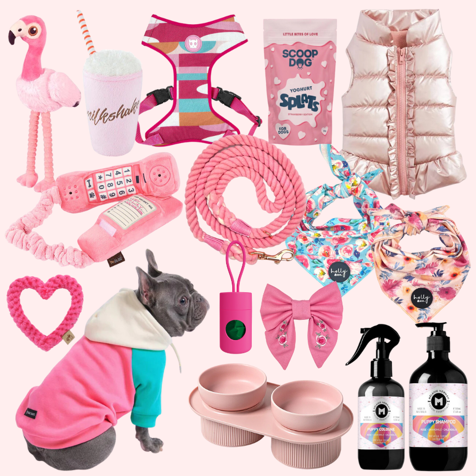 Barbie pink dog gear and accessories