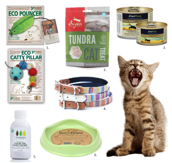 Eco-friendly cat products