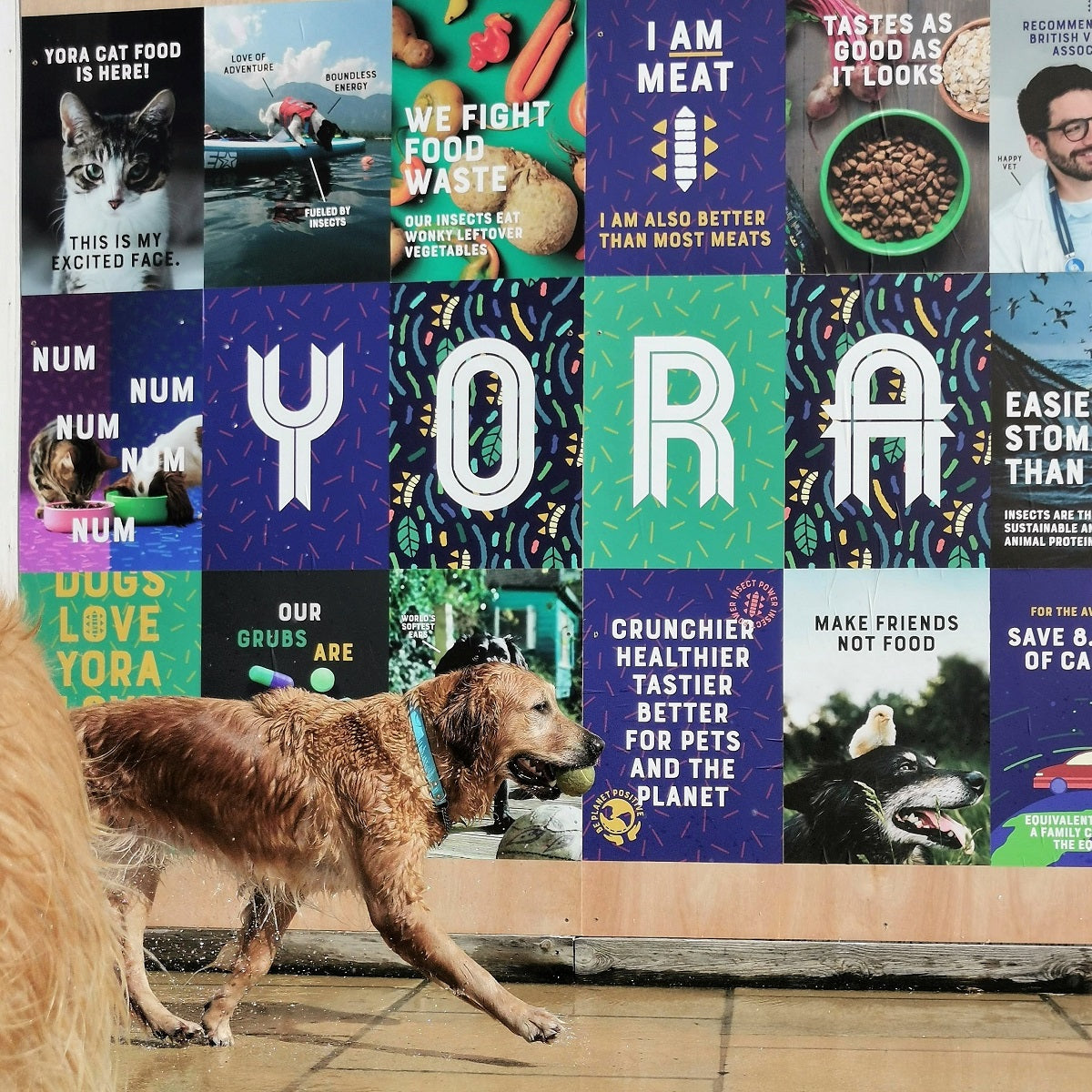 Yora-Pet Food NZ