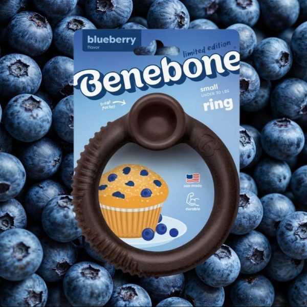 Benebone ring shaped dog chew toy in limited edition Blueberry flavour