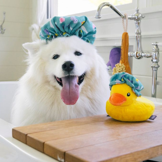 White dog with a floral towel on its head sitting next to a yellow rubber duck in a bathroom.